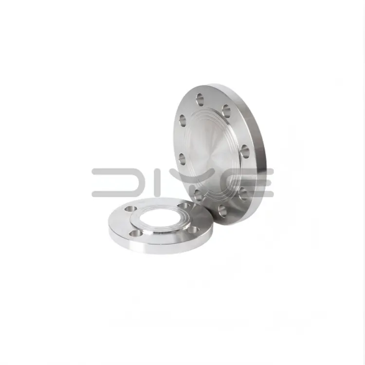 Stainless Steel Caecus Flange