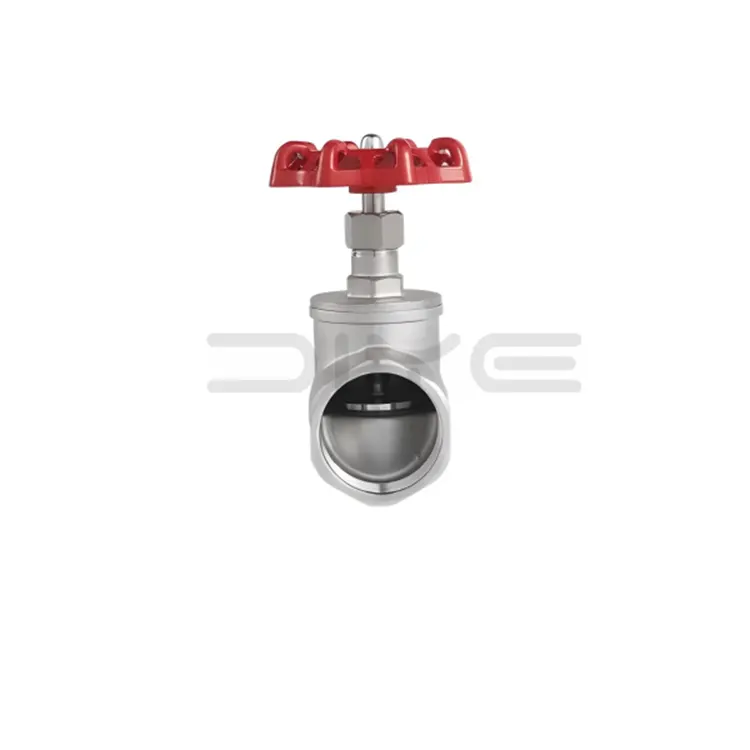 Globe Valve